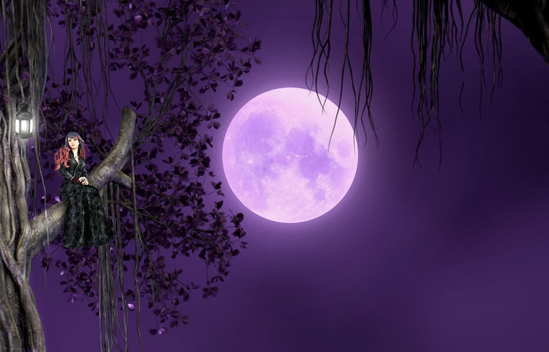 Whimsical trees