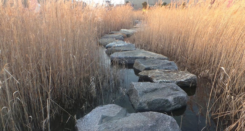 Garden Pathway